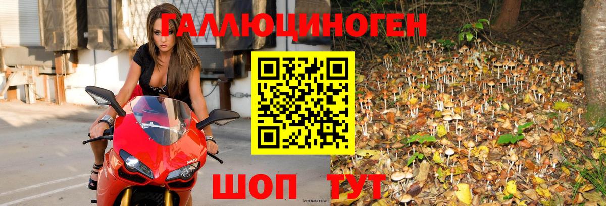Галлюциногенные грибы Magic Shrooms Пыть-Ях